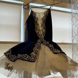 Ballet costume, tutu with built in leotard